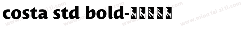 costa std bold字体转换